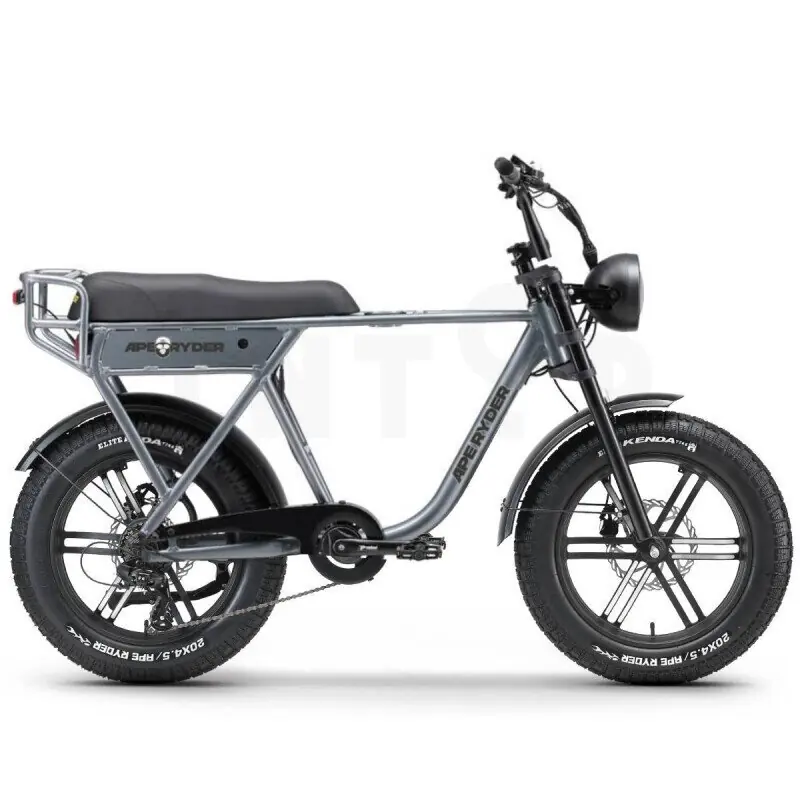 APE RYDER A10 20" – elektriline fatbike, hall