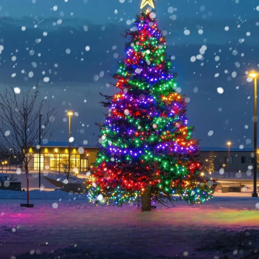 LED-jõulutulede vanik kuusele 1–2,5 m, 400 LED, mitmevärviline, puldiga 2