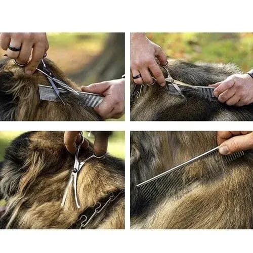 Koerte hoolduskääride komplekt Purlov, 3 kääri + kamm 4