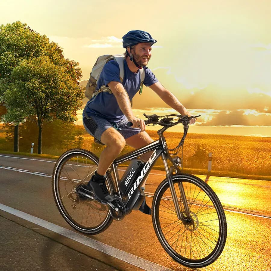 Rincc RN50 29" – engin électrique type VTT, noir 5