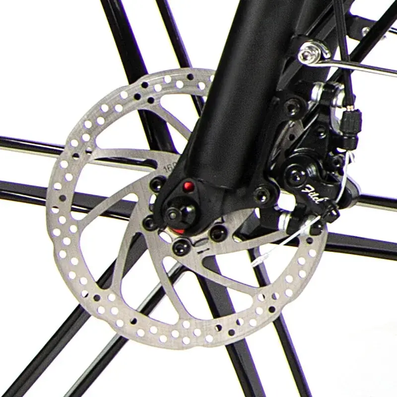 Samebike 20LVXD30-II 20" – kokkupandav elektrisõiduk, valge 4